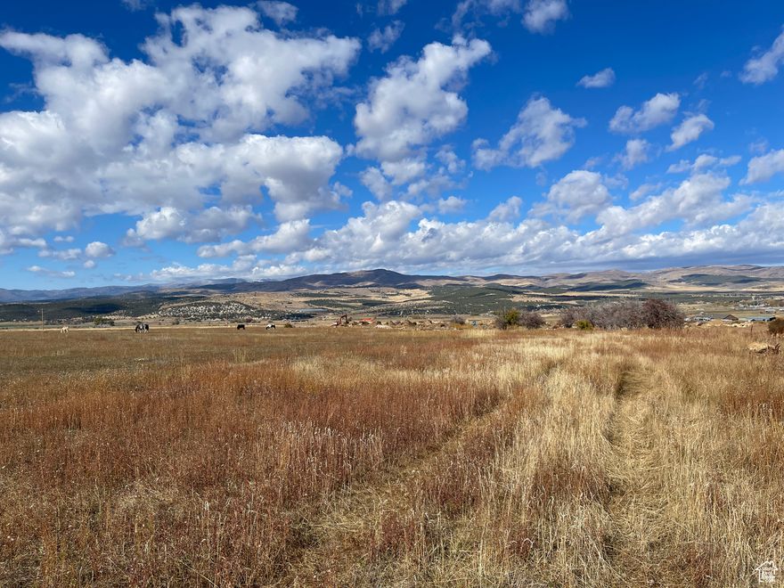 Escape the smog, traffic, and noise, and enjoy country living on your private 5.5 acre lot. Lot 1 is situated on the east bench overlooking scenic Sanpete County, this is the perfect place to build your dream home! Enjoy a self-sustained lifestyle with crops or animals on your fully usable land. Relax on your deck while taking in breathtaking views and unforgettable sunsets. Located just 45 minutes from Utah County. You'll experience very little traffic in this gated cul-de-sac. Only minutes away from the famously scenic Skyline Drive. No HOA! There is a shared well for which you will own your own water right, power, high-speed fiber internet, and pressurized irrigation. There is equipment near the property removing surface boulders for better farmland which is estimated to be off by the end of 2026.