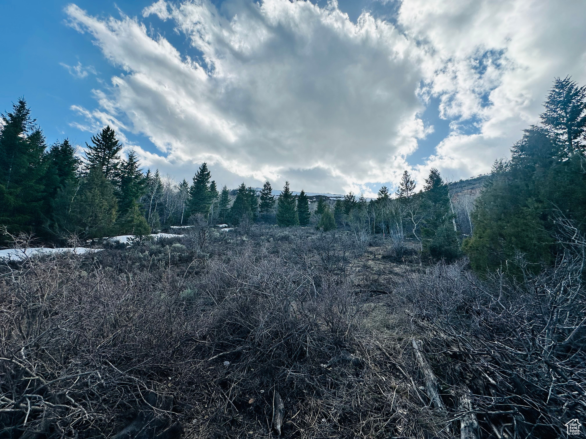 1115 S Lakeview Dr #A 103, Garden City, Utah image 4