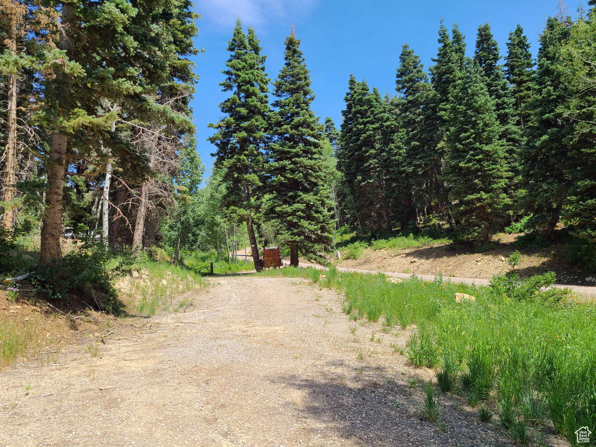 SKYLINE MTN RESORT - Land