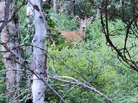 Tiny photo for 63 E DEER VALLEY DR S #K63, Fairview, UT 84629 (MLS # 2097842)