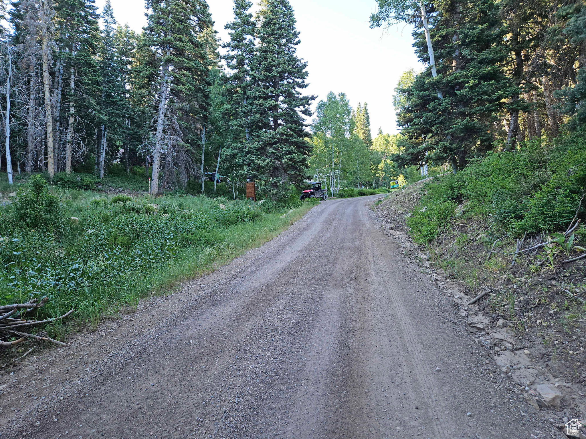 SKYLINE MTN RESORT - Land