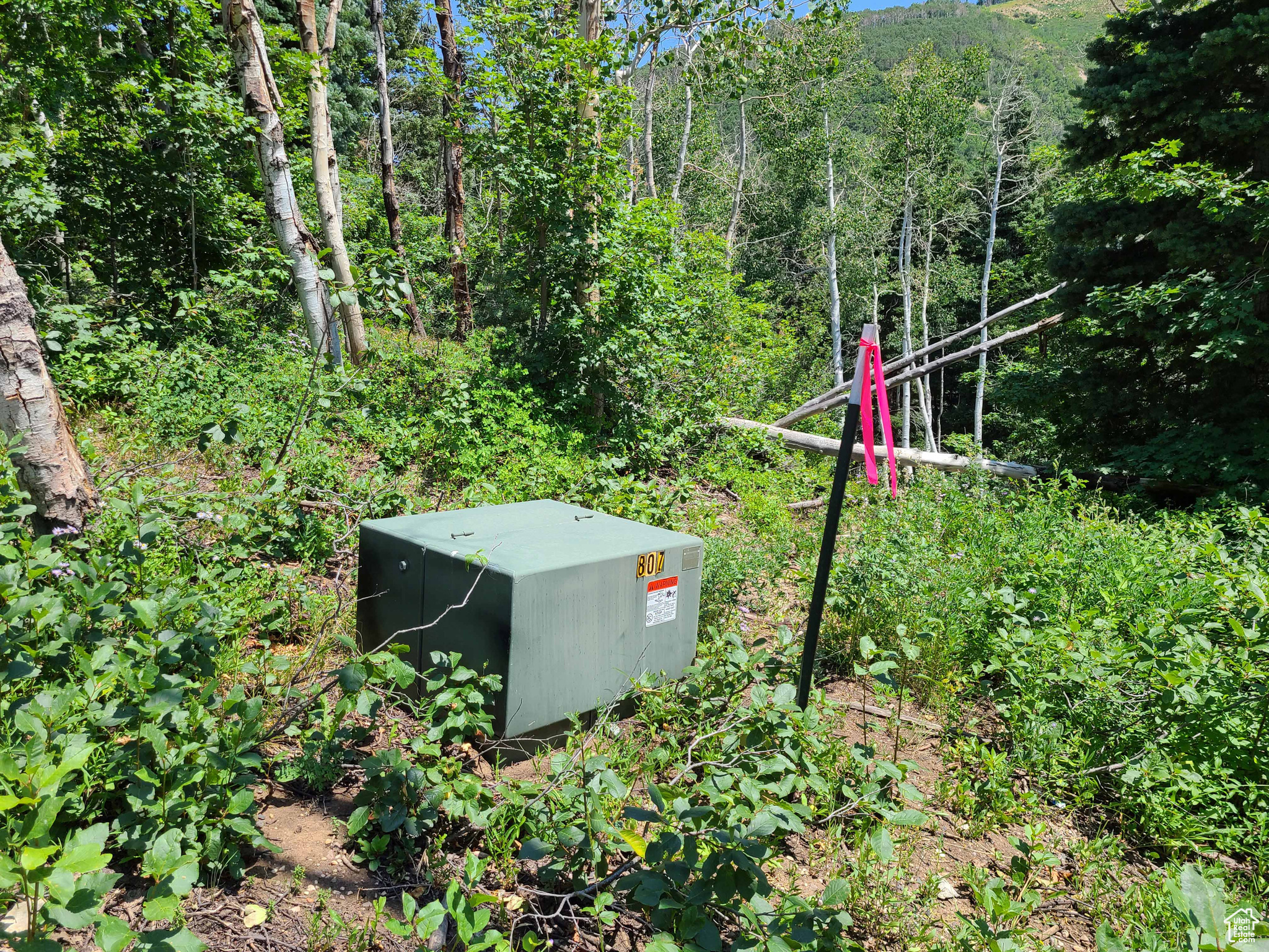 SKYLINE MTN RESORT - Land