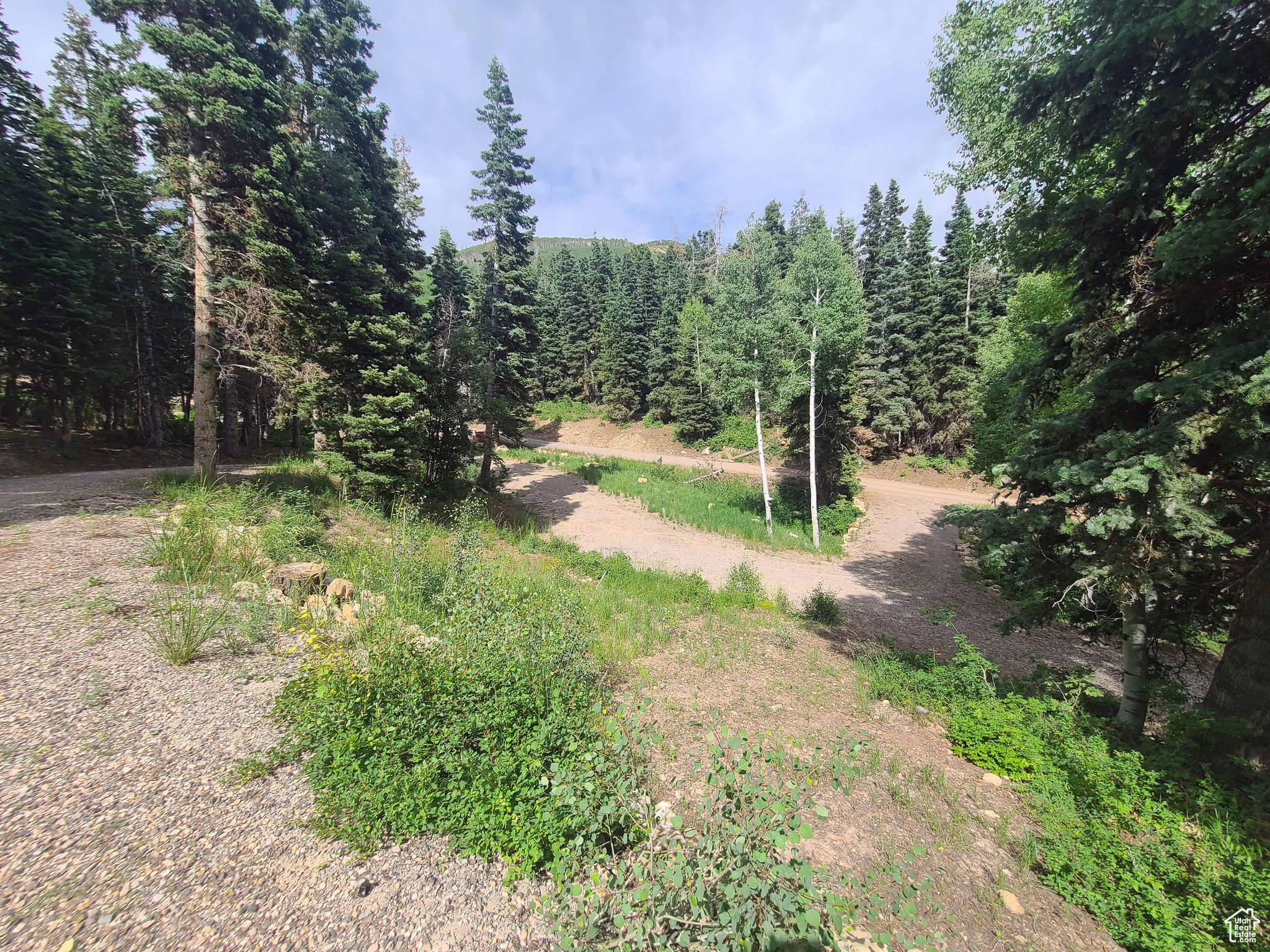 SKYLINE MTN RESORT - Land