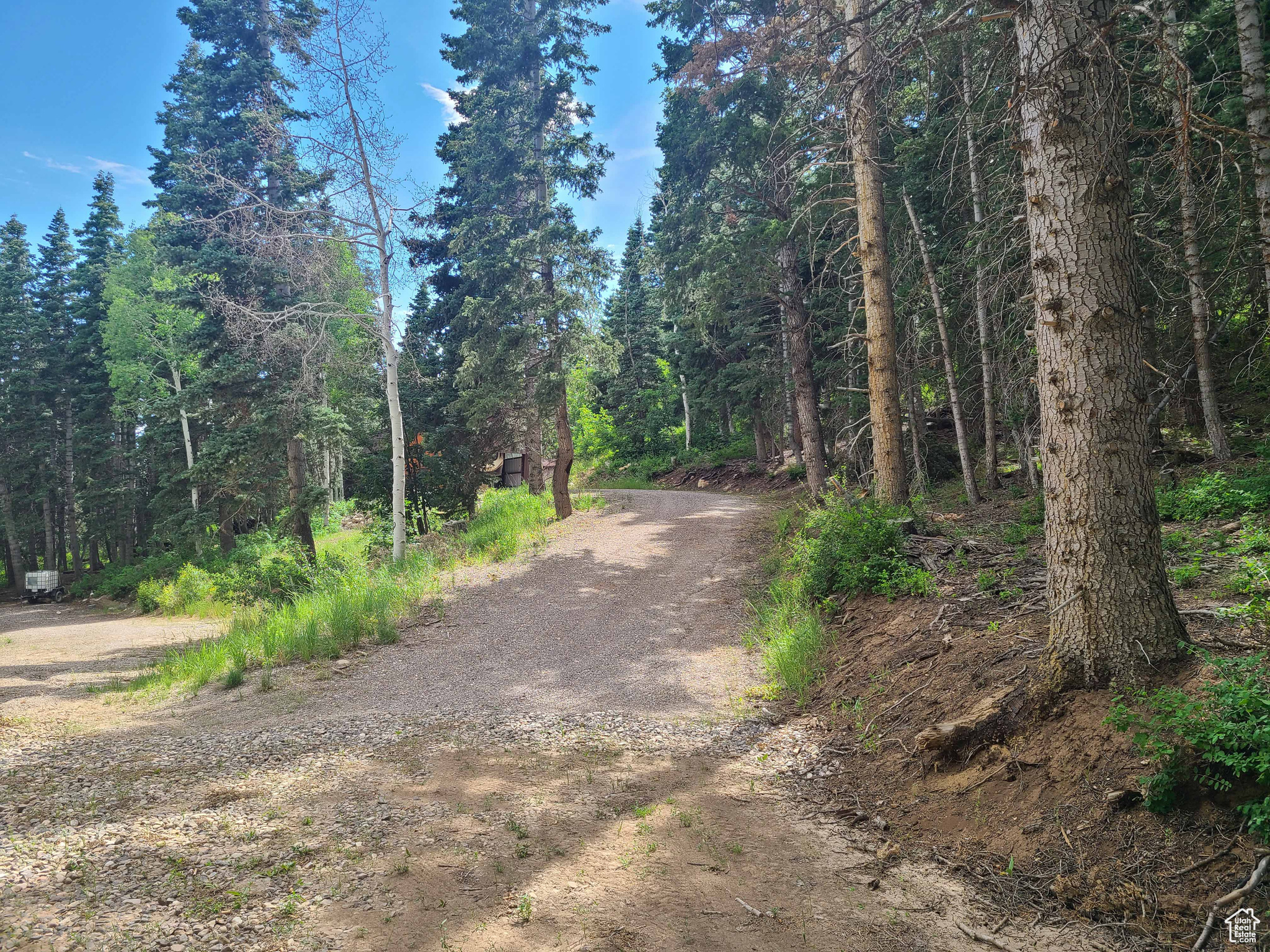 SKYLINE MTN RESORT - Land