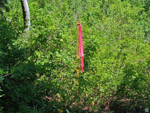 Tiny photo for 63 E DEER VALLEY DR S #K63, Fairview, UT 84629 (MLS # 2097842)