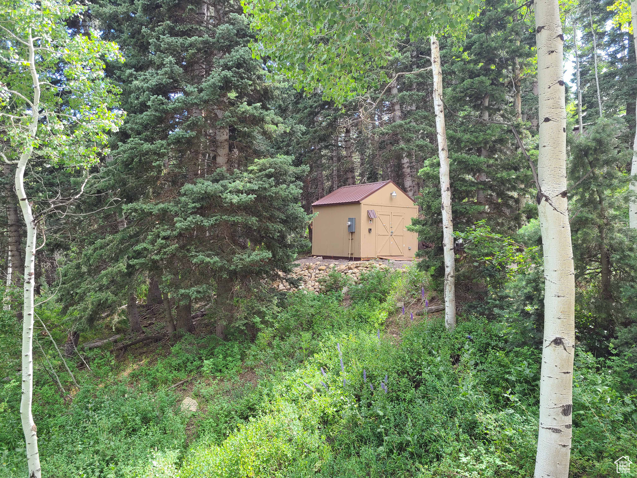 SKYLINE MTN RESORT - Land