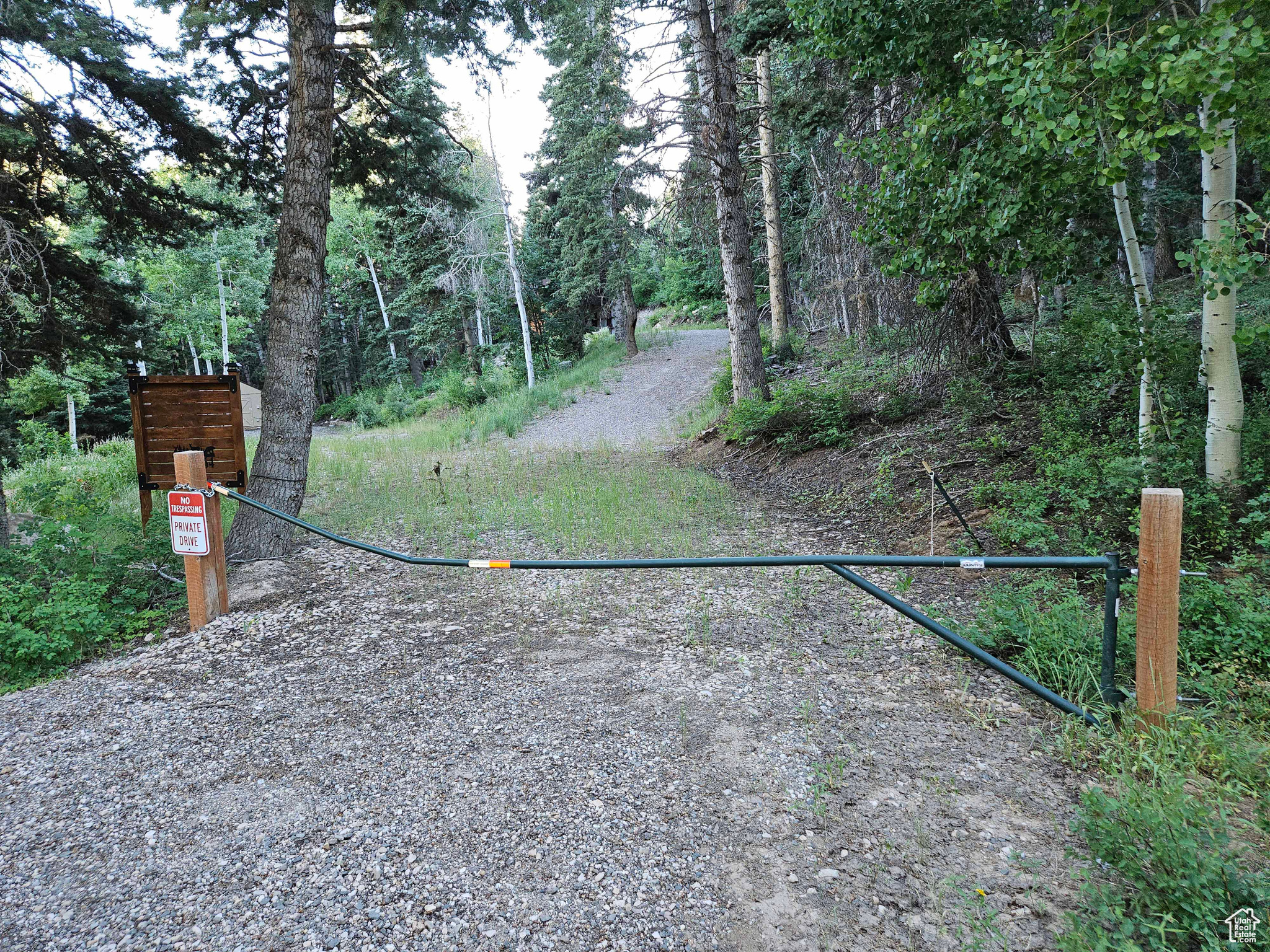 Property defined as being in Skyline Mountain Resort. Includes 2 Lots K63 & K64. This property is located in the upper area of the subdivision in a area of very nice large pine & quaking aspen trees. Trailers in pictures are not included. Septic system is in place and there are 2 sheds on the property. Property owners have access to a golf course, swimming pool, tennis courts, pavilion and cabins that can be rented. Power is connected and a water system is in place (Community well is a short distance away). Note that this property is located in a gated community - contact listing agent for access to the property.