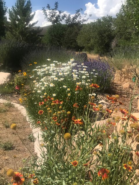 Tiny photo for 47 S MEADOW DR, Springville, UT 84663 (MLS # 2145130)