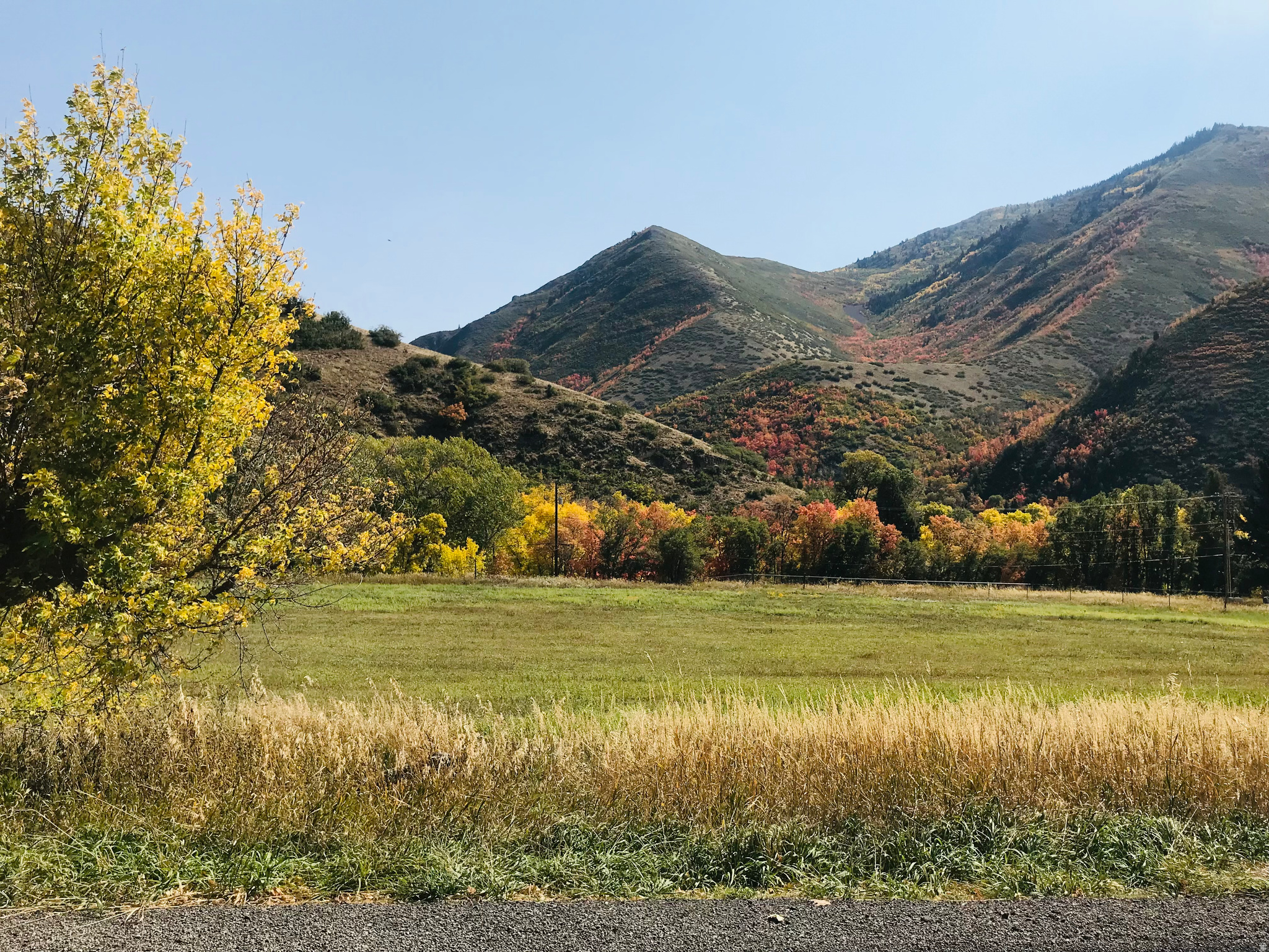 COTTAGES AT HOBBLE CREEK MHD - Residential