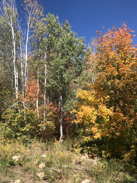 Tiny photo for 47 S MEADOW DR, Springville, UT 84663 (MLS # 2145130)