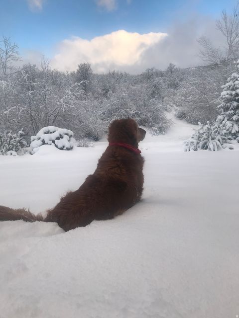 Tiny photo for 47 S MEADOW DR, Springville, UT 84663 (MLS # 2145130)