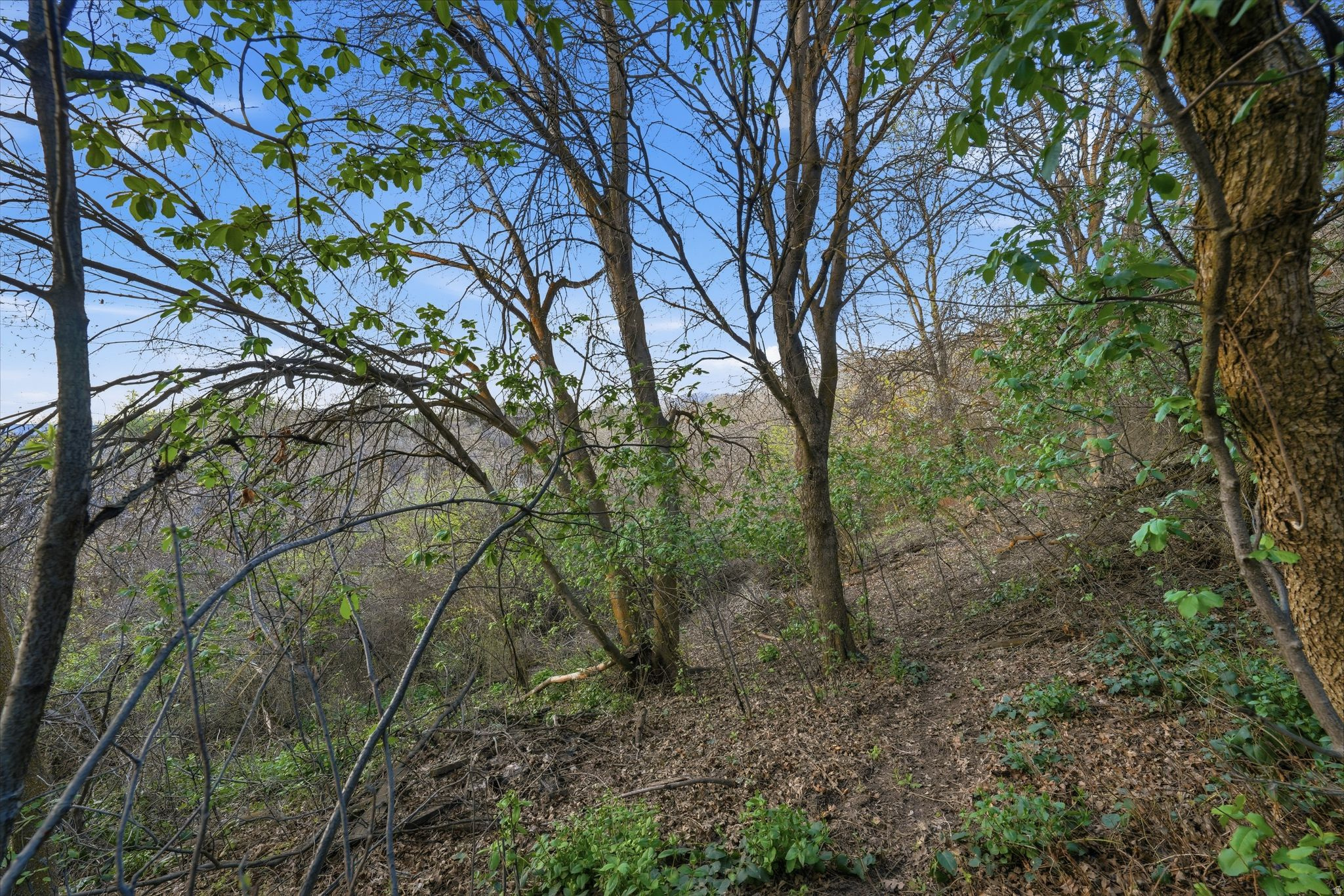 KING CLARION - Residential