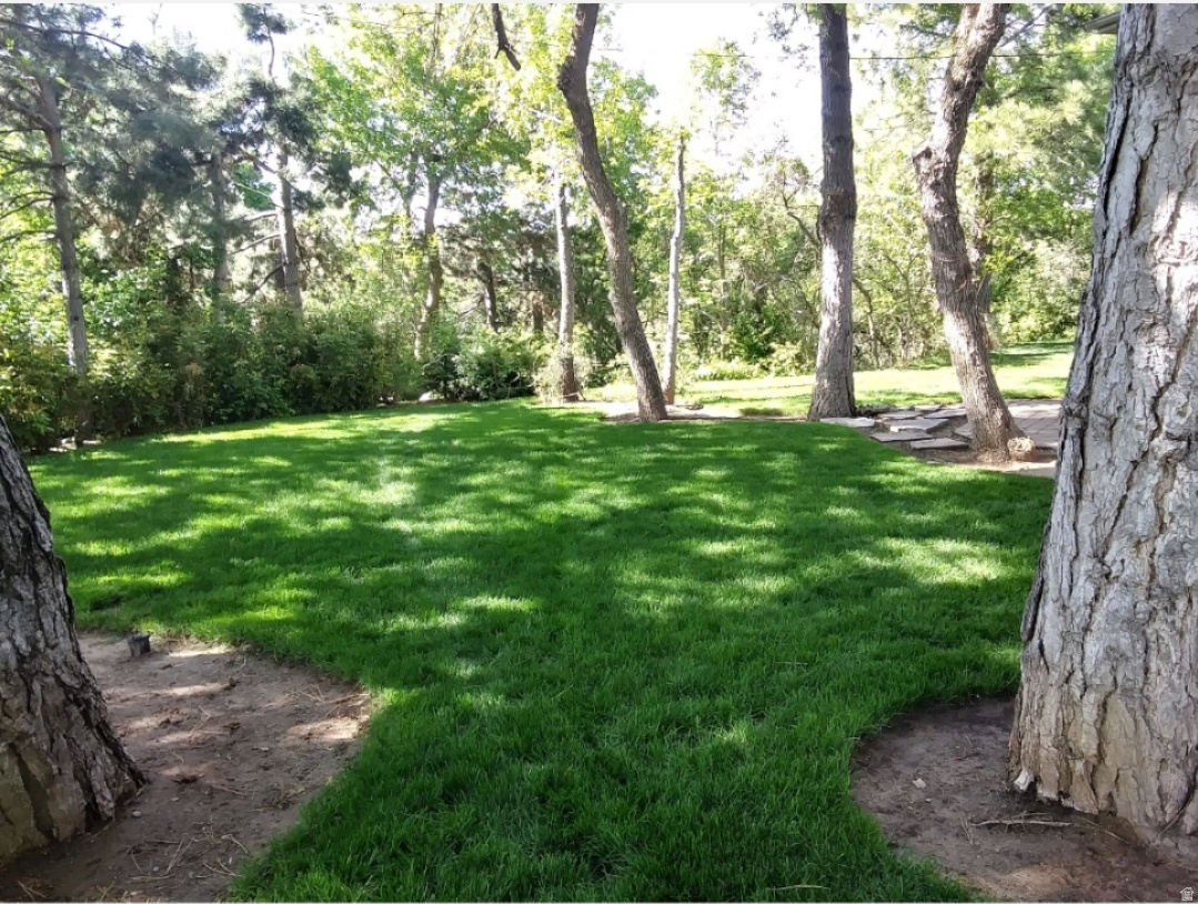 KING CLARION - Residential