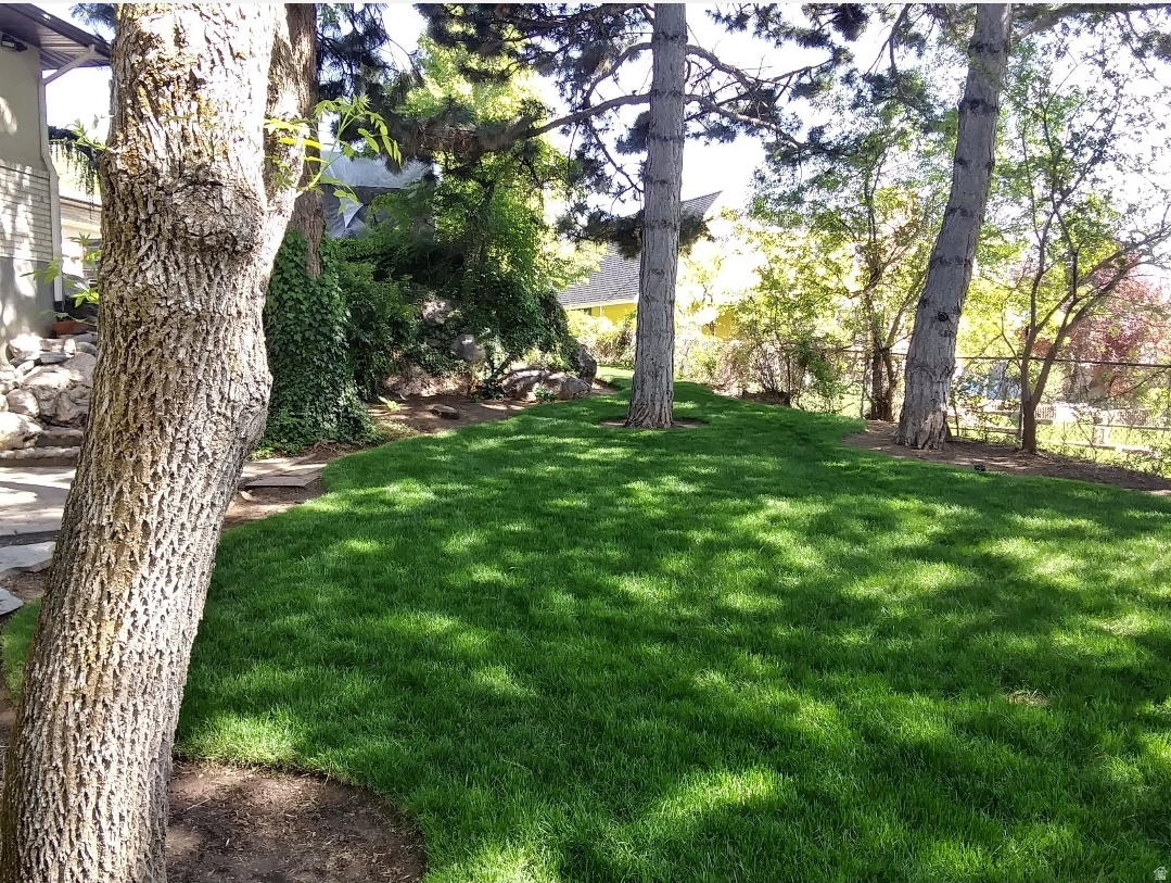 KING CLARION - Residential