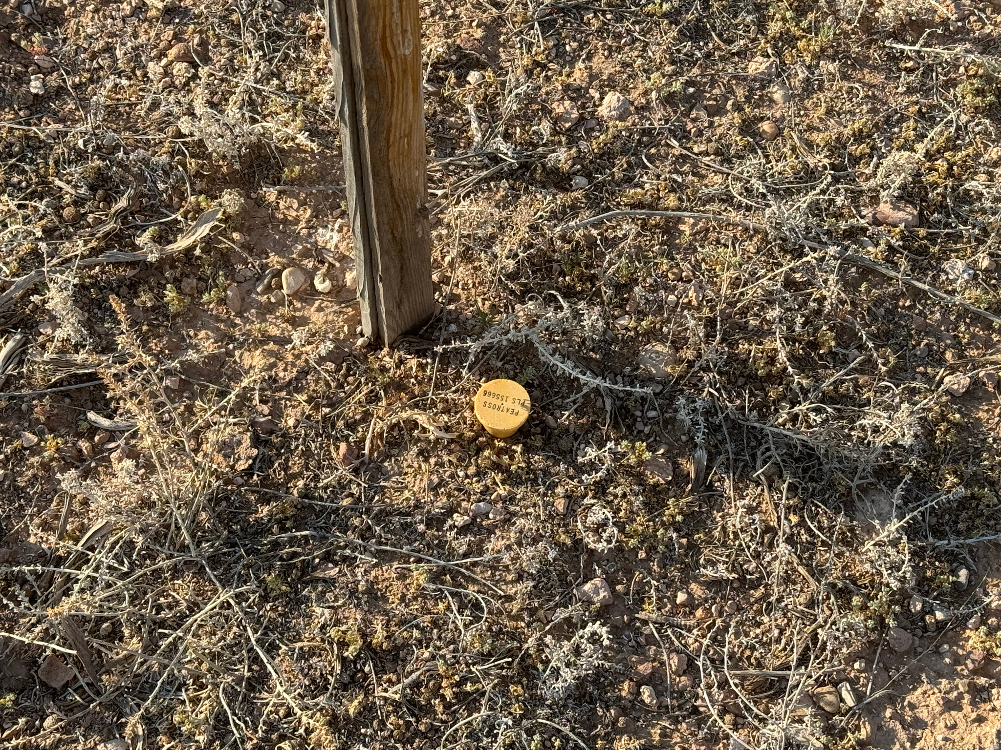 KNIGHTS RANCH MINOR - Land