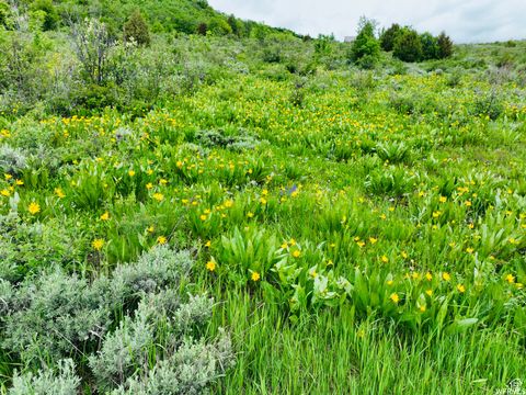 Vacant Land For Sale - 839 S Boosway Cir #61<br/> Garden City, UT 84028