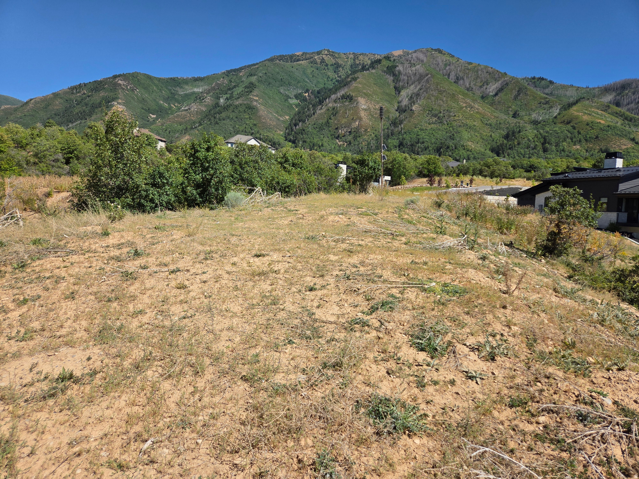 Expansive building lot featuring mature trees and a distant mountain backdrop