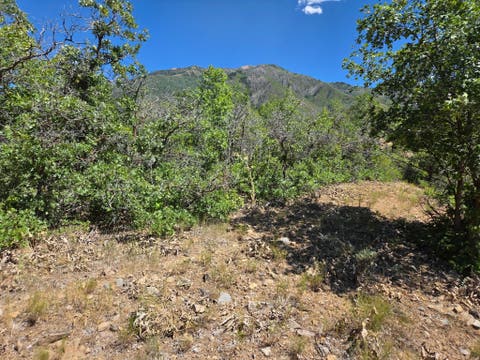 Tiny photo for 925 S NORTH VIEW CIR E, Woodland Hills, UT 84653 (MLS # 2166210)