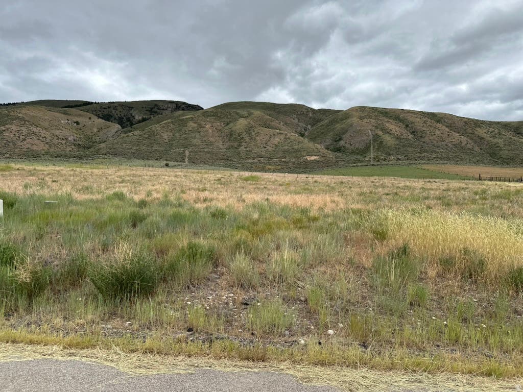 Photo of 1270 ANTELOPE CIR, Montpelier, ID 83254 (MLS # 2171550)