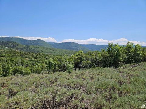 Photo of 155 E WOLF HOLLOW RD S #155, Fairview, UT 84629 (MLS # 2096548)