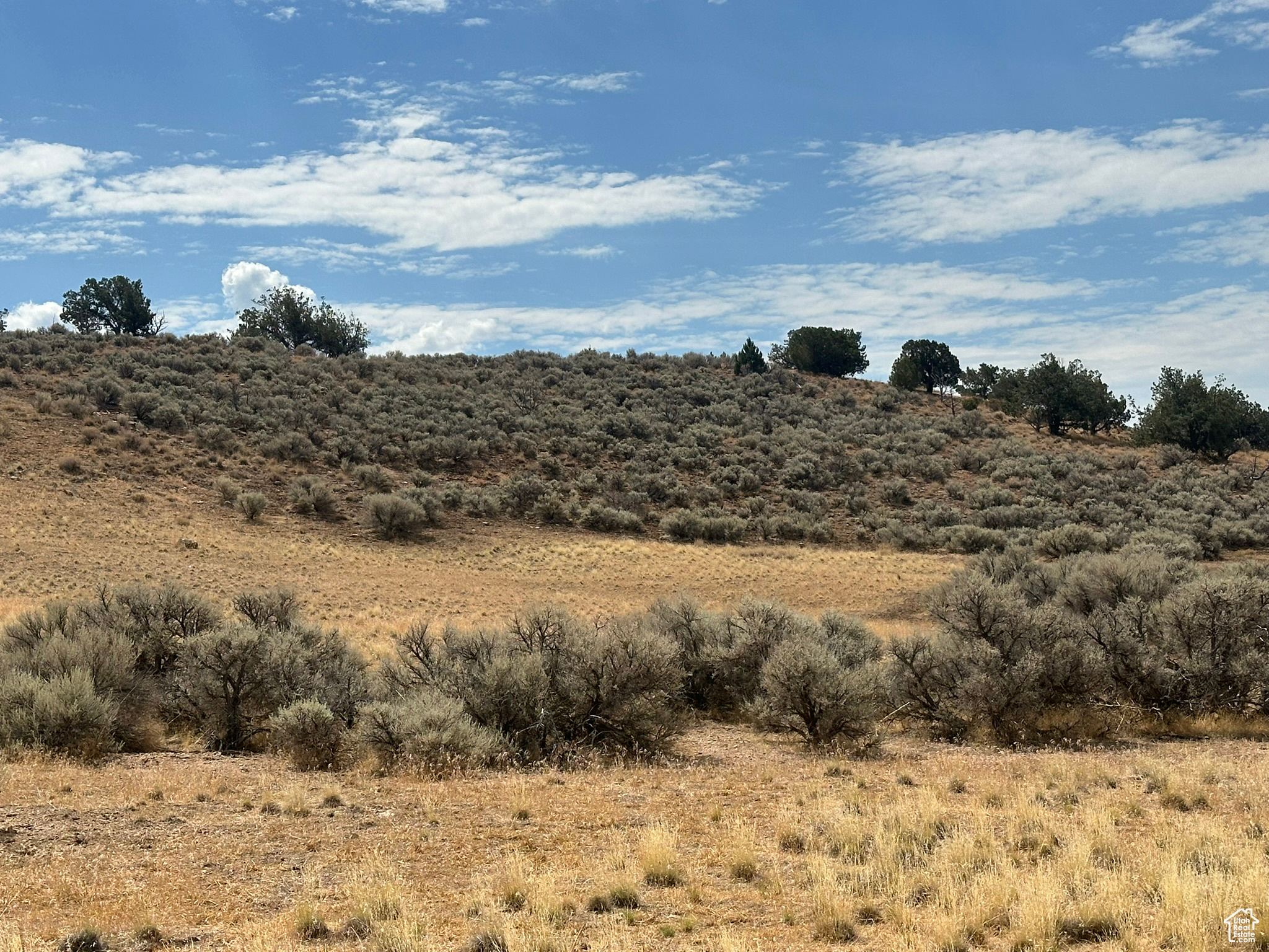 3300 N Cedar, Fillmore, Utah image 1