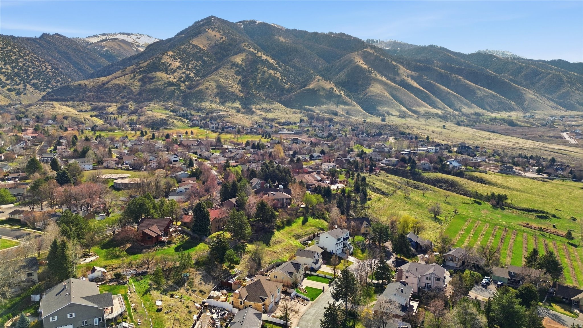 ORHARD HEIGHTS EAST - Residential