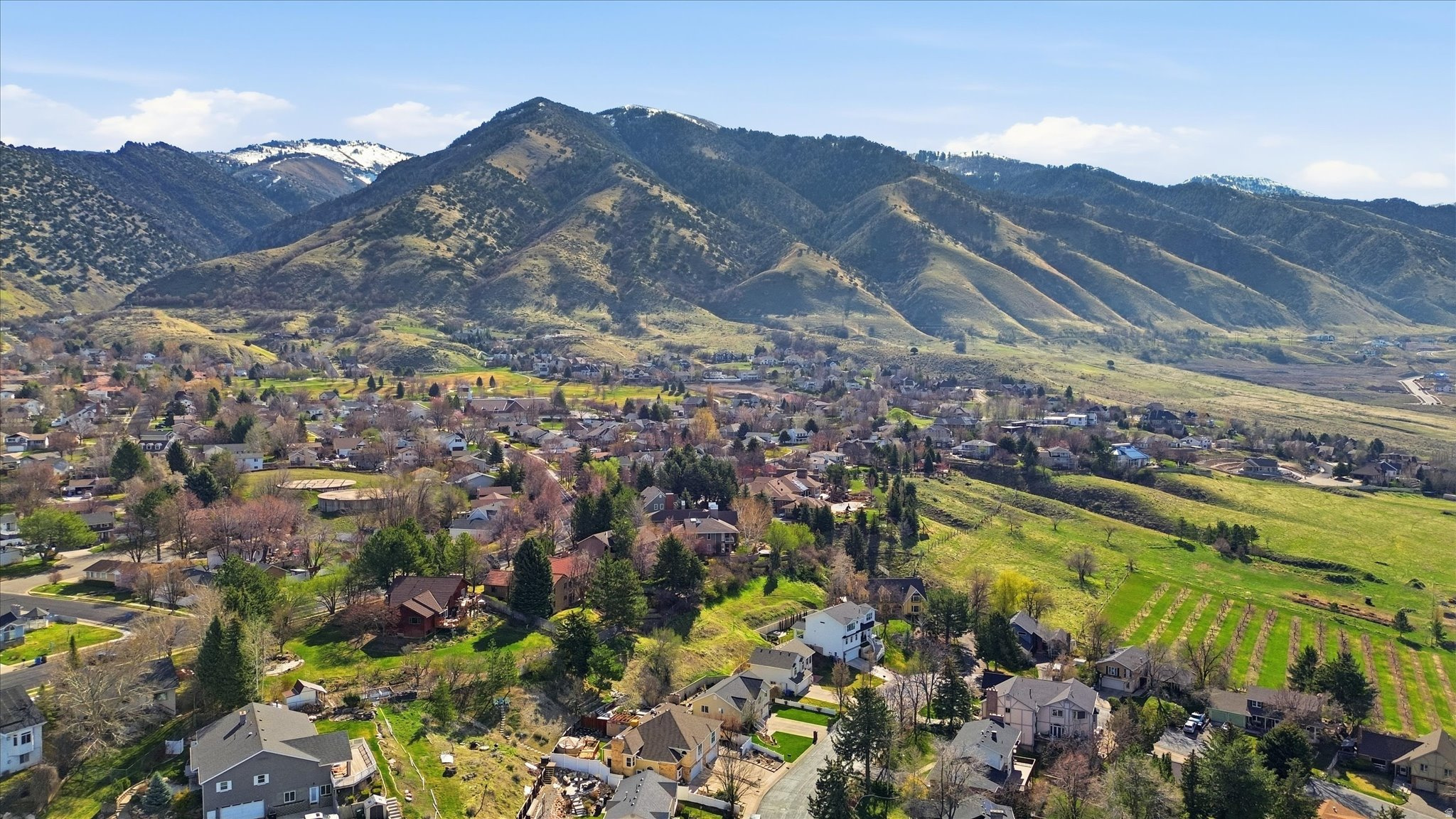 ORHARD HEIGHTS EAST - Residential