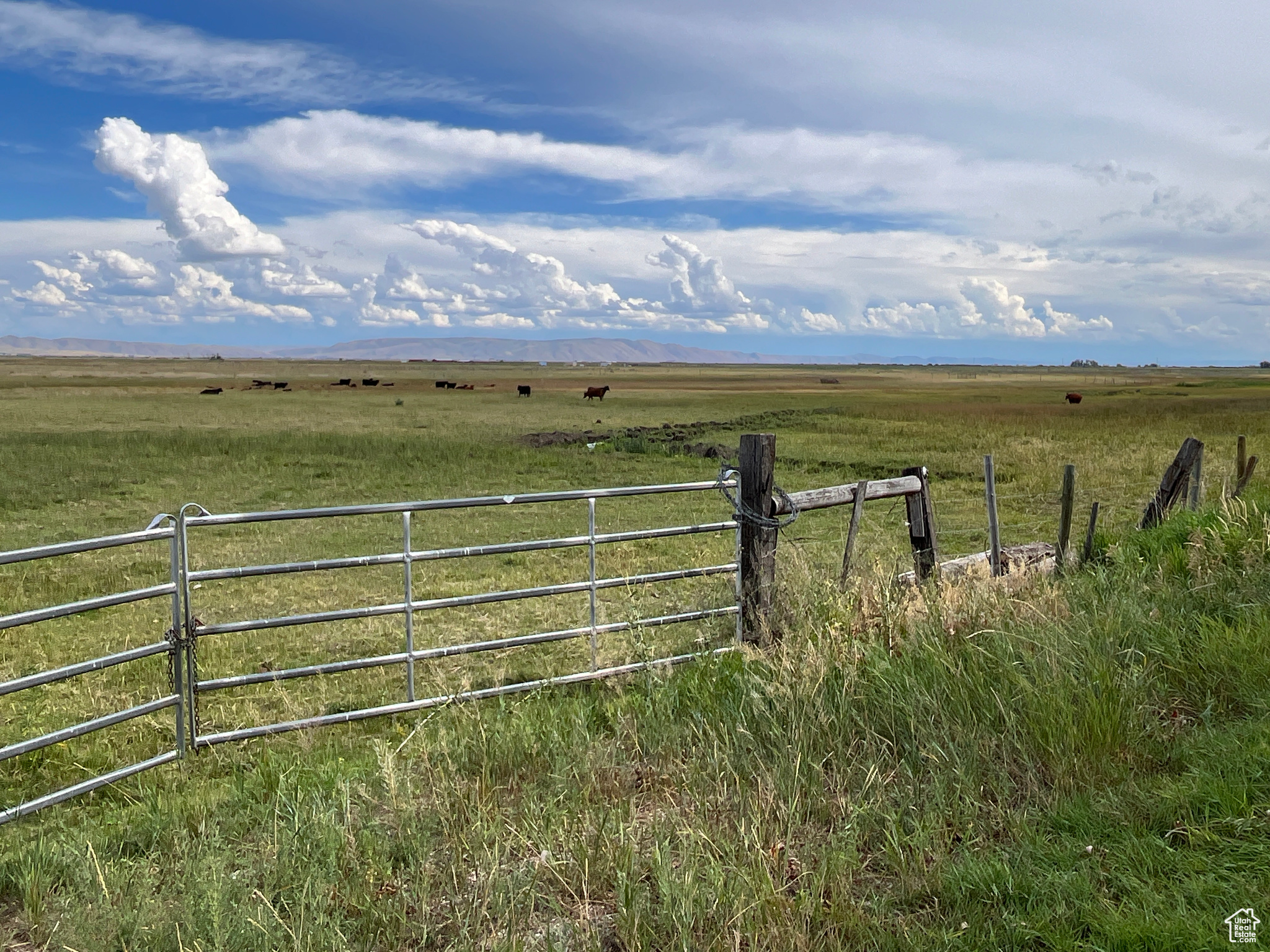Land, Montpelier, Idaho image 5