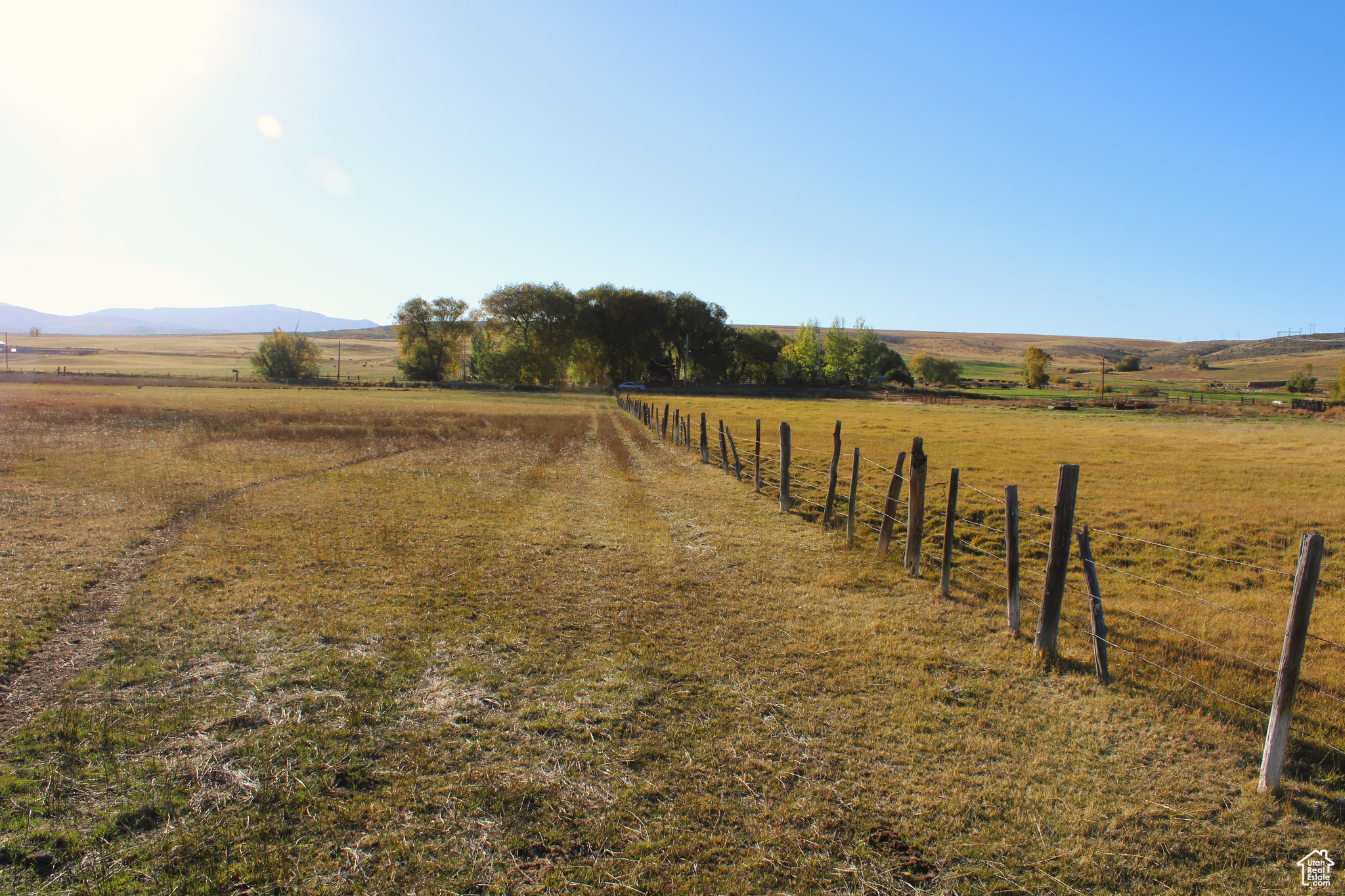 Land, Montpelier, Idaho image 16