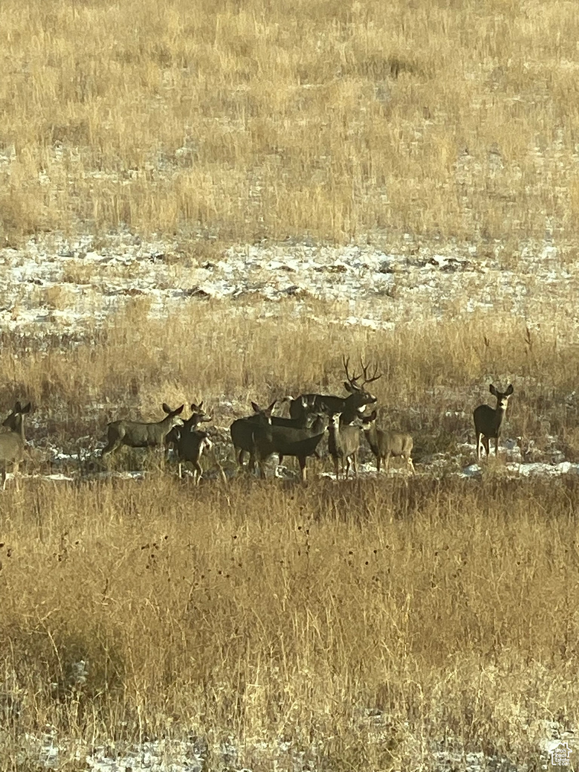 Land, Preston, Idaho image 8
