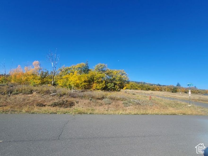 Beautiful mountain lot. This corner lot has views of the large water conservancy district meadow. Listing information deemed reliable, buyer to verify.