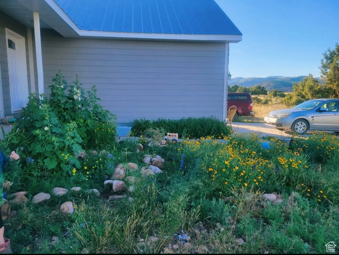 BANDANNA RANCH - Residential