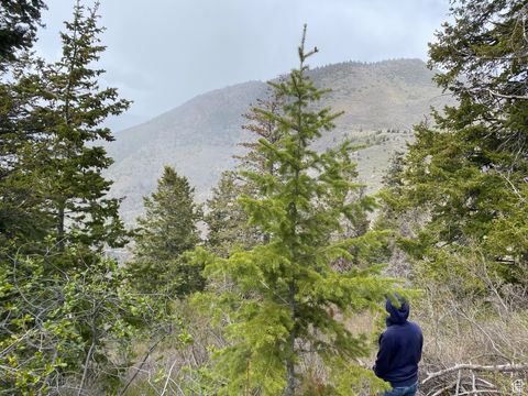 Tiny photo for 9607 E 2680 S #9, Salt Lake City, UT 84109 (MLS # 2095442)