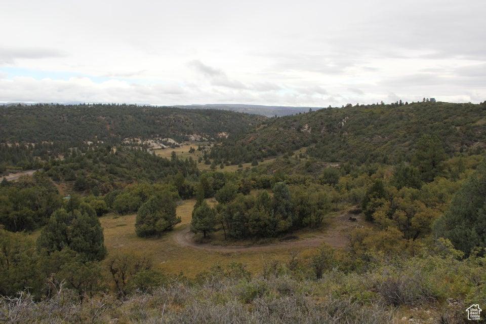 1980 W Manitoban Trl, Duck Creek Village, Utah image 11