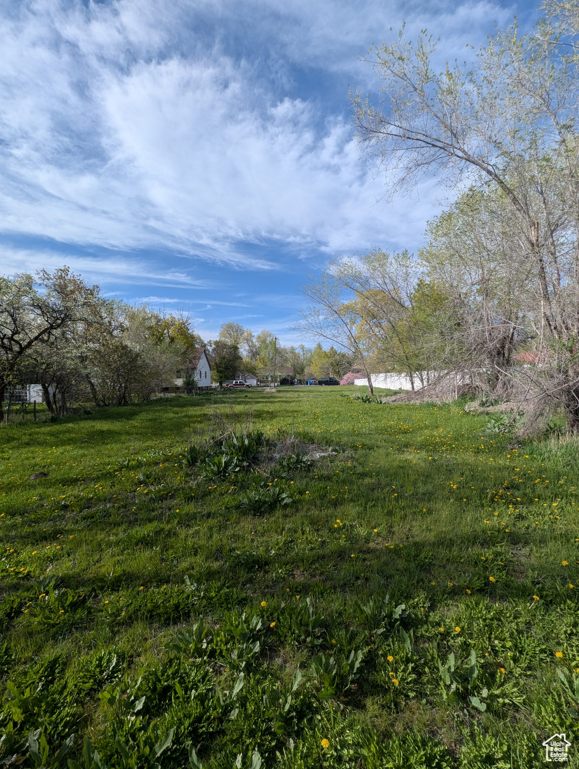 56 E 600, Logan, Utah image 2