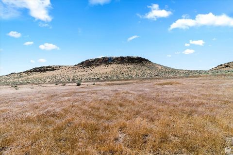 Vacant Land For Sale - Land<br/> Moroni, UT 84646