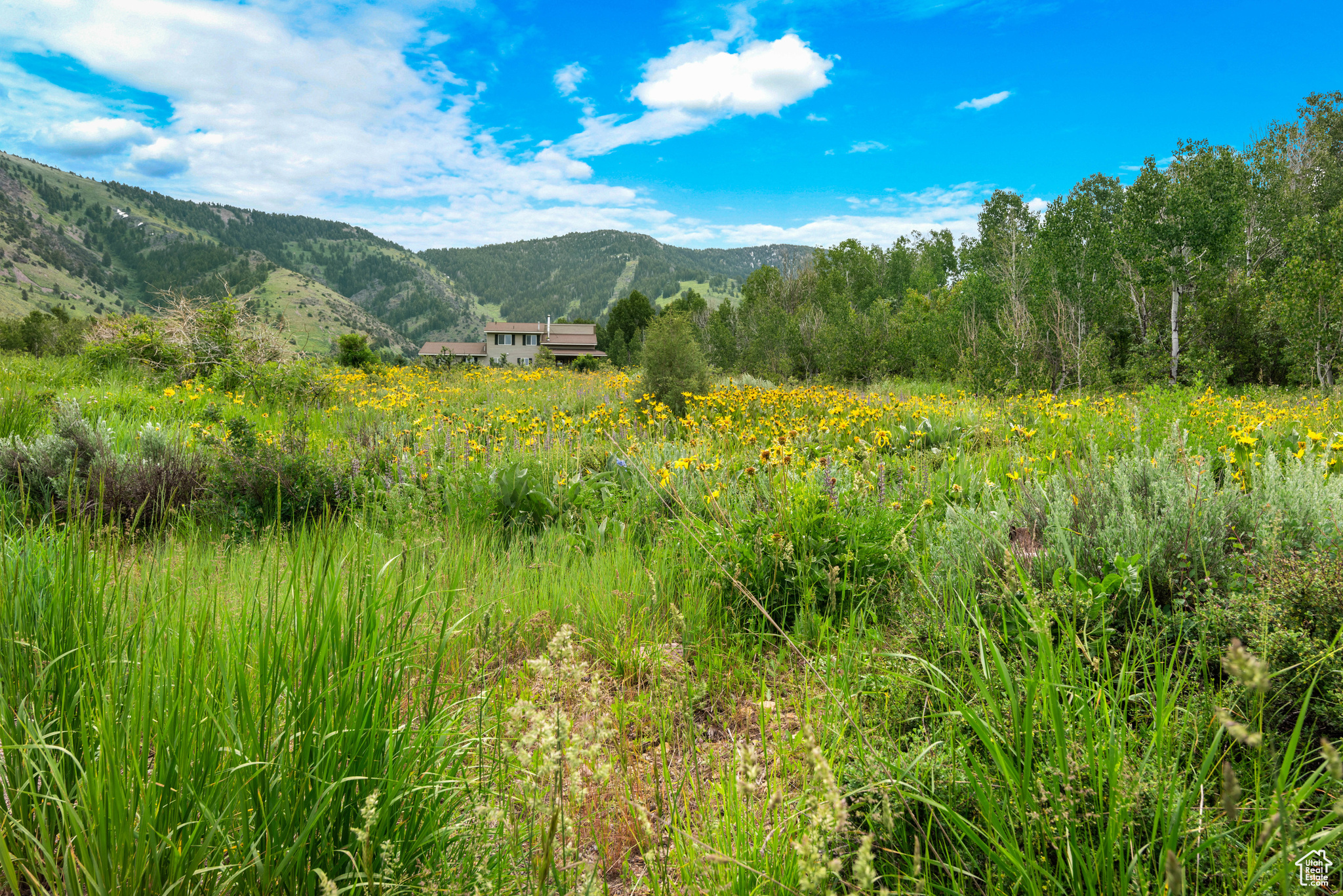 BONNEVILLE PEAK - Land