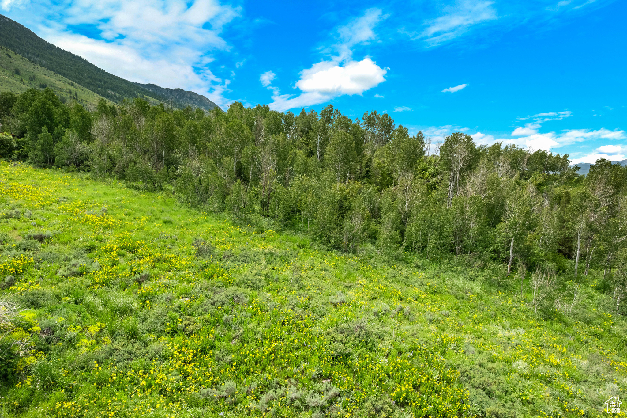 BONNEVILLE PEAK - Land
