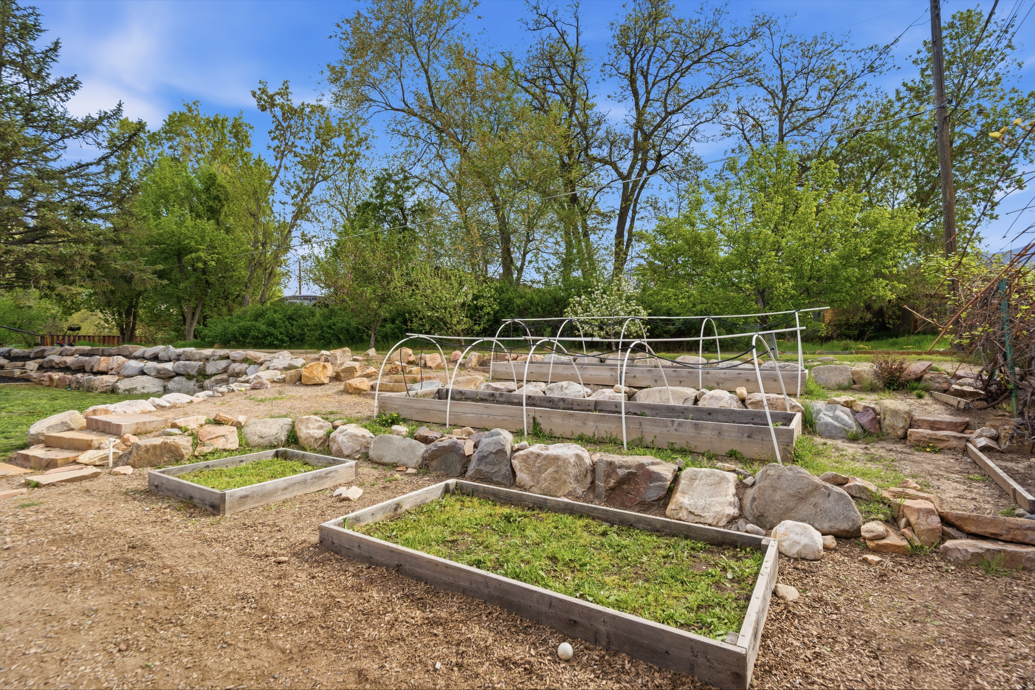 JACKSON HEIGHTS - Residential