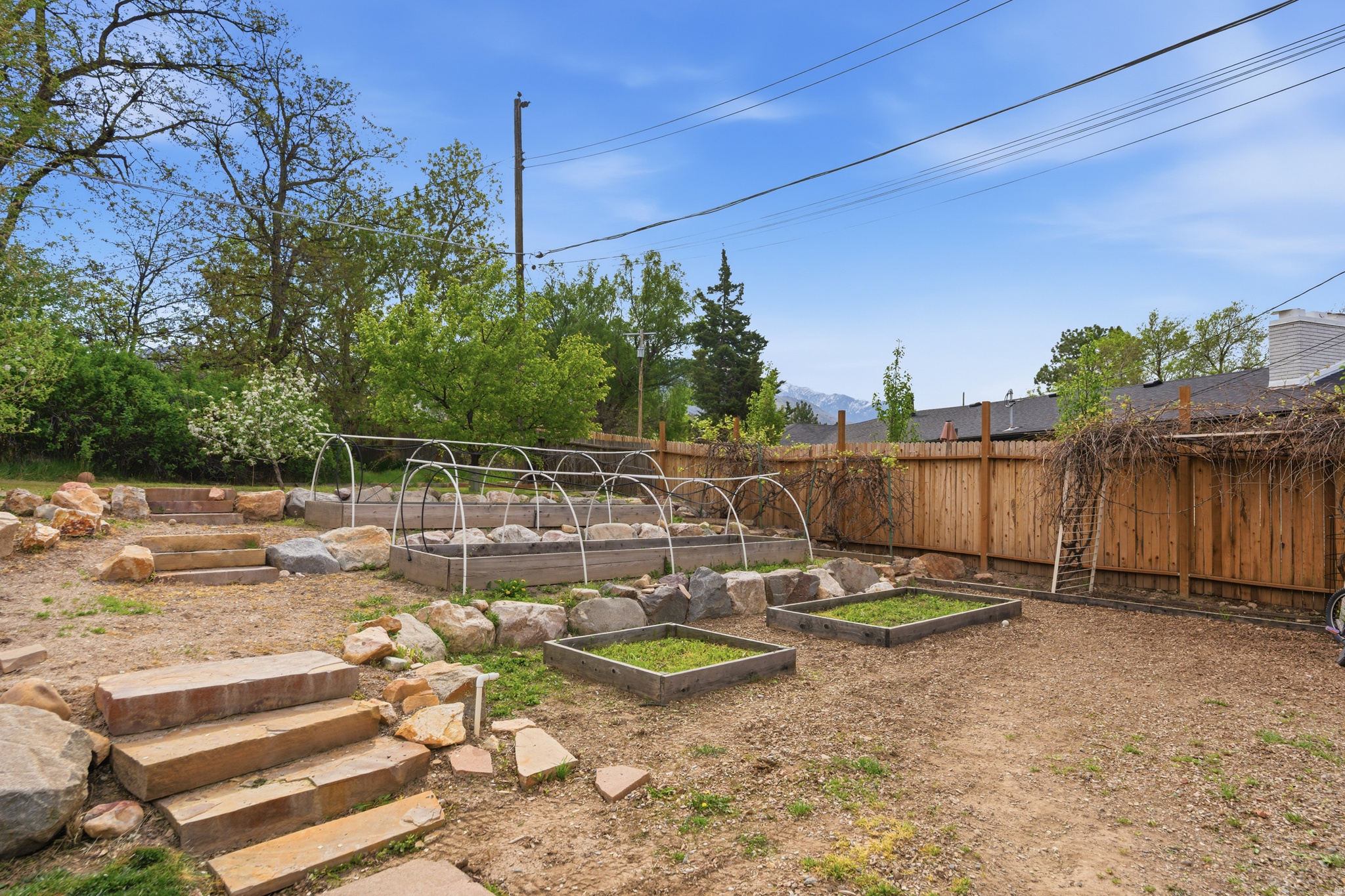 JACKSON HEIGHTS - Residential