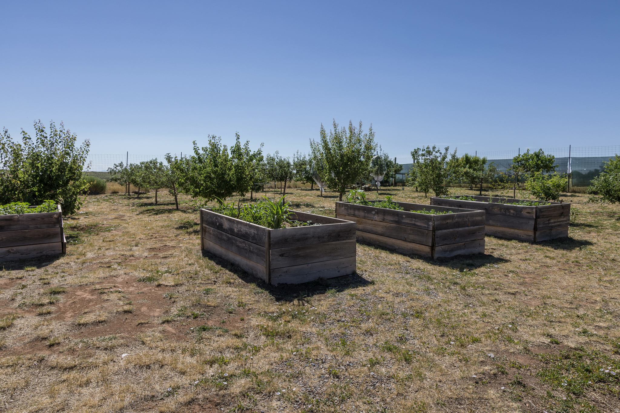ELK MEADOWS - Residential