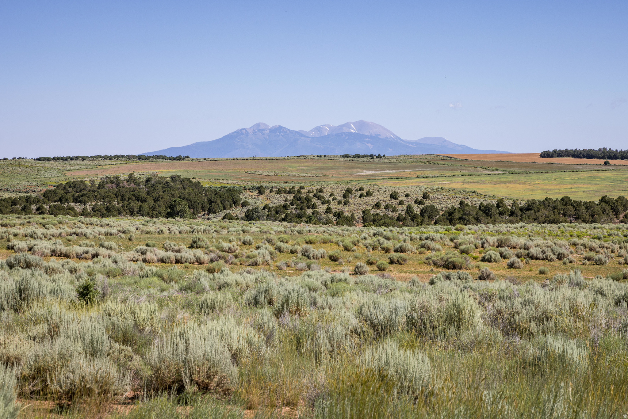 ELK MEADOWS - Residential