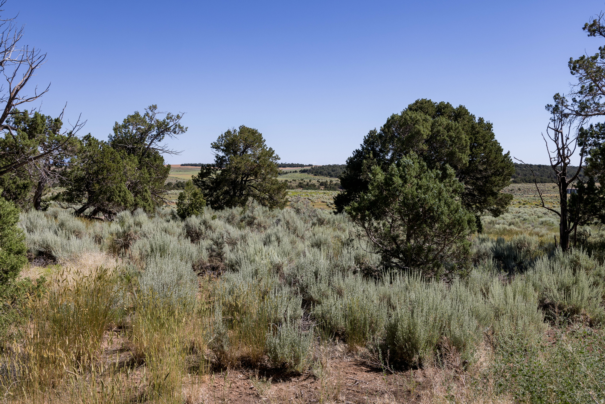 ELK MEADOWS - Residential