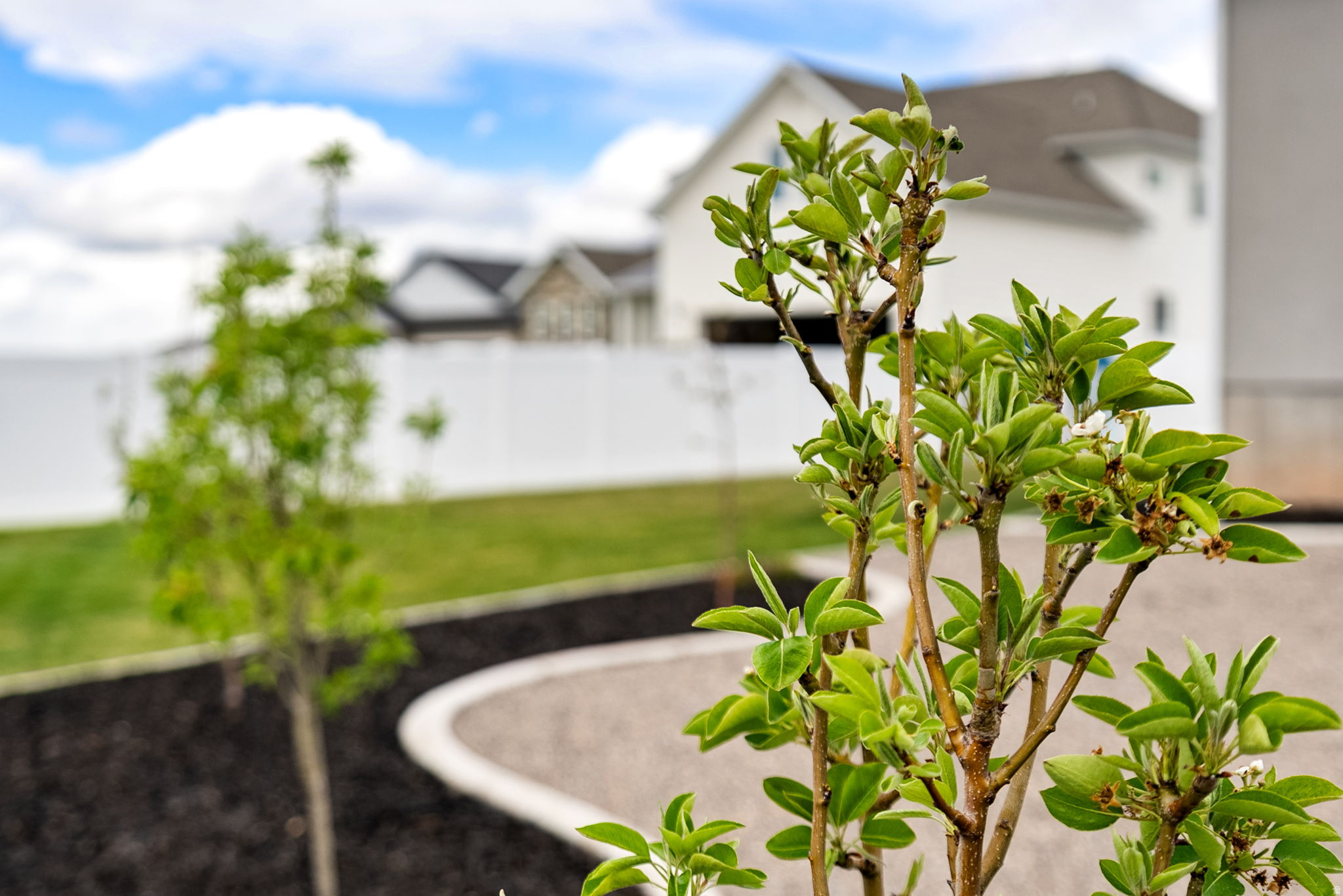 PHEASANT RUN - Residential