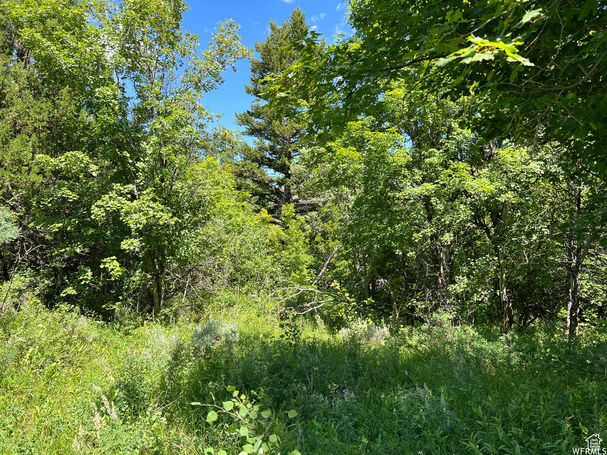 SWAN CREEK VILLAGE - Land