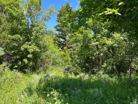 Vacant Land For Sale - 1320 S Sculpin Loop #T96<br/> Rich County, Garden City, UT 84028