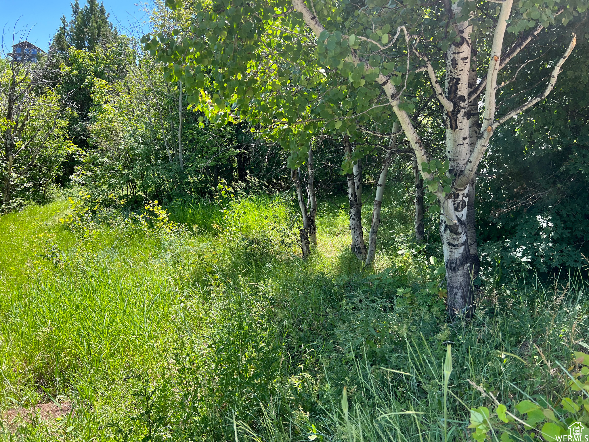 SWAN CREEK VILLAGE - Land