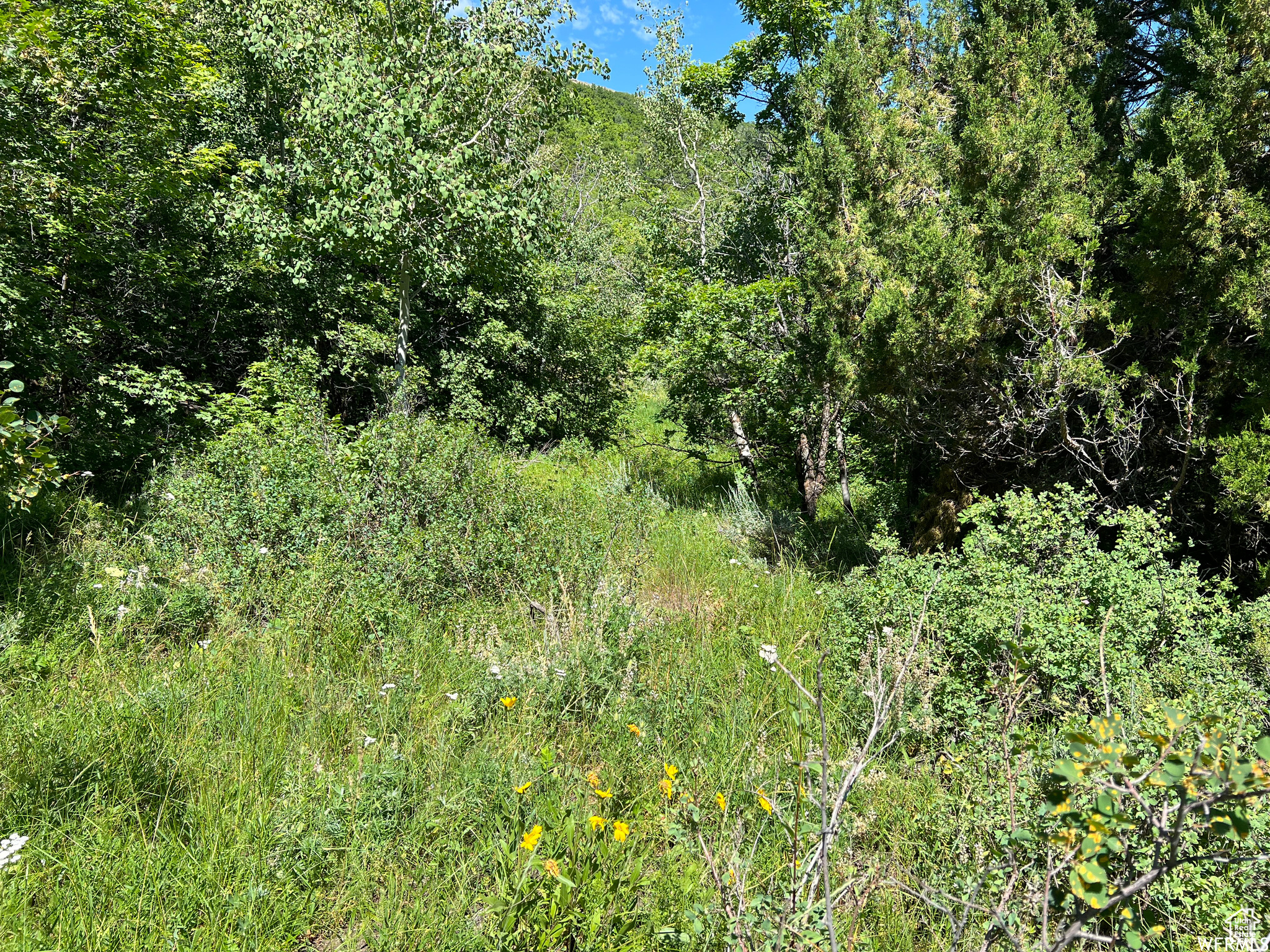 SWAN CREEK VILLAGE - Land