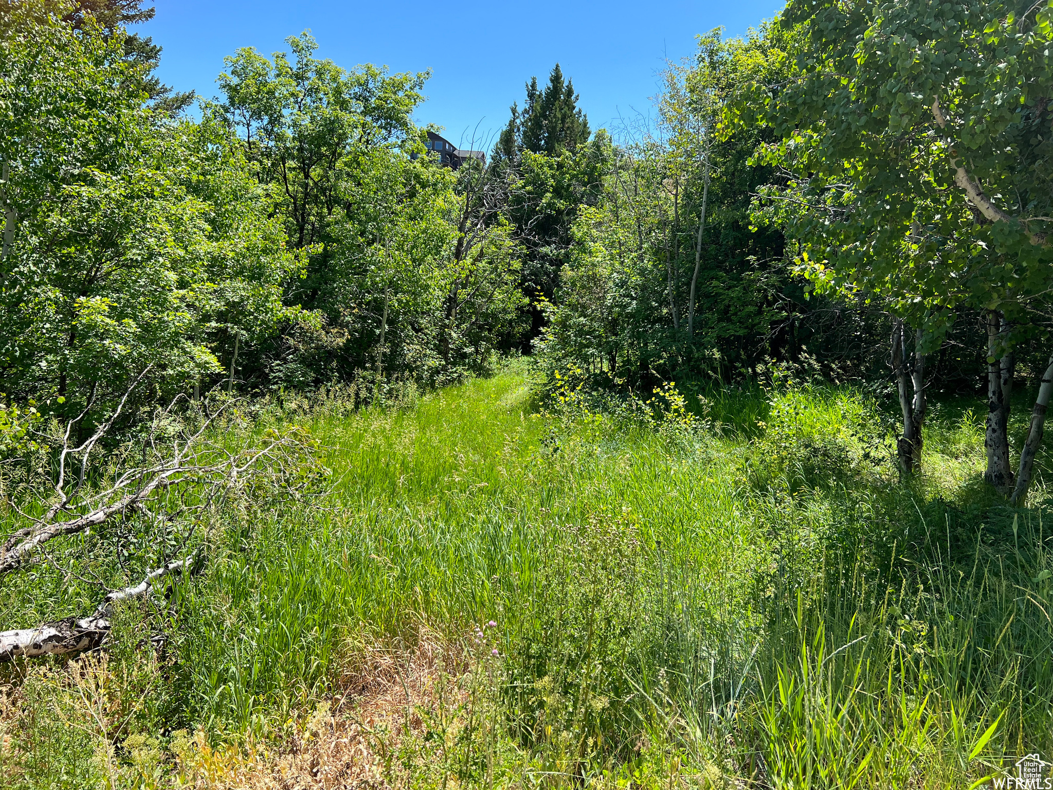 SWAN CREEK VILLAGE - Land