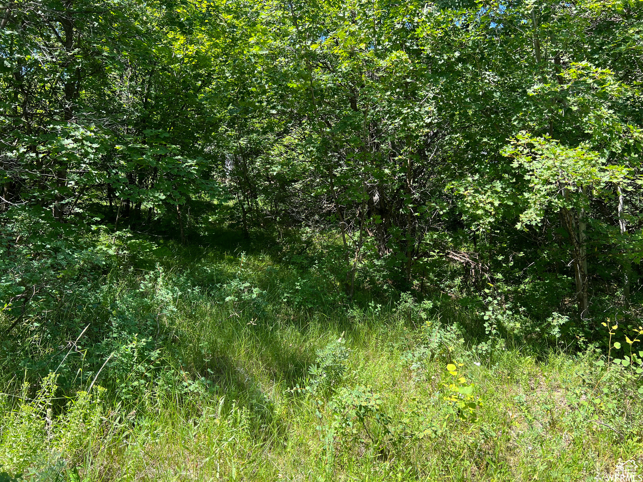 SWAN CREEK VILLAGE - Land